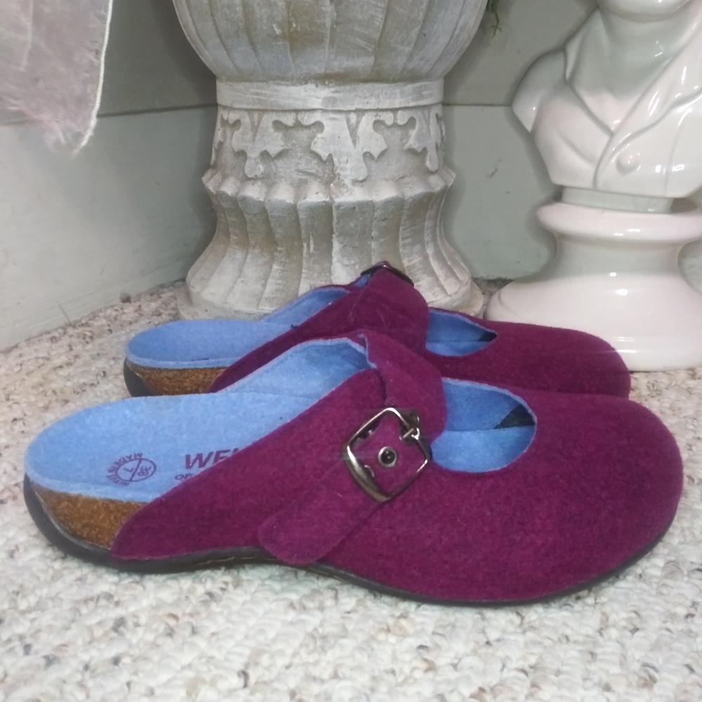 Dr. Andrew Weil Rasberry Wool Orthaheel Tech Women's Clogs